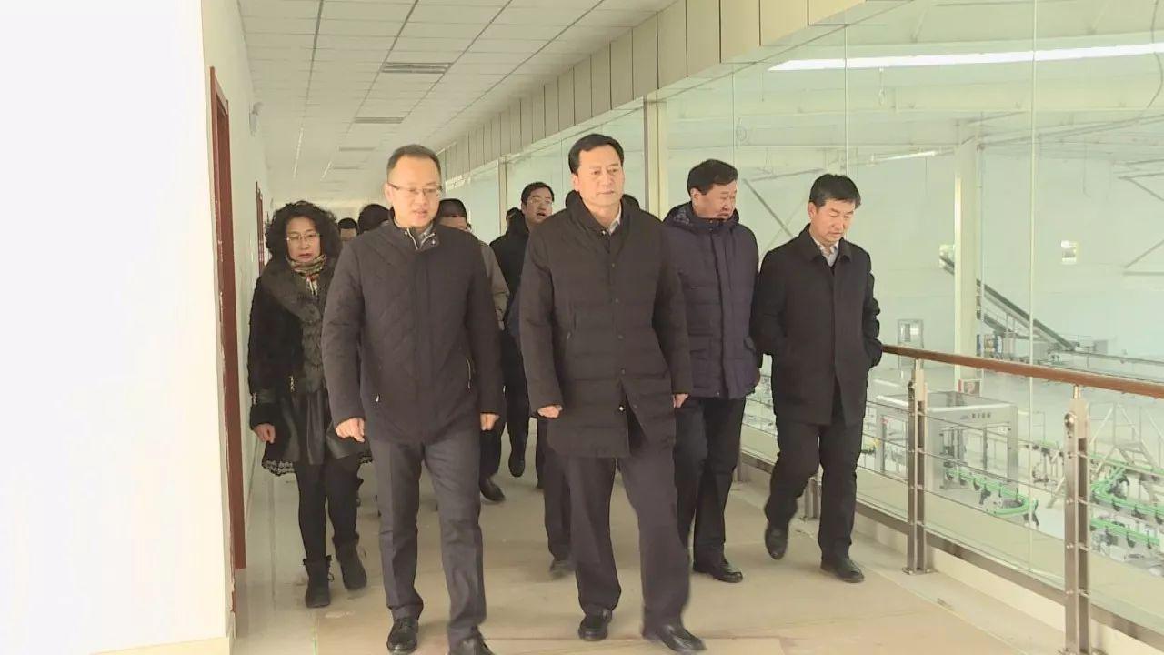 駱駝股份股吧深度解析，探究企業(yè)潛力與價(jià)值，駱駝股份股吧深度解析，探究企業(yè)潛力與價(jià)值展望