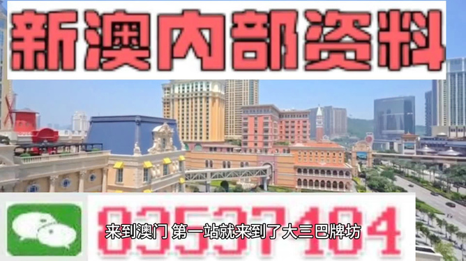 新澳新澳門正版資料，探索與解析，新澳新澳門正版資料深度解析與探索