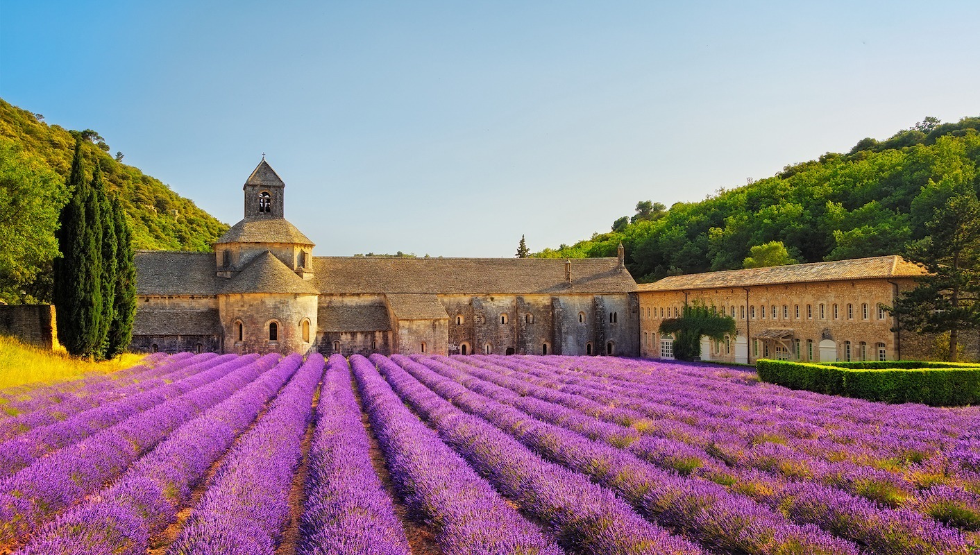 普羅旺斯薰衣草，夢(mèng)幻之地的無(wú)盡魅力與SEO優(yōu)化秘籍，普羅旺斯薰衣草，夢(mèng)幻勝地的魅力與SEO優(yōu)化攻略
