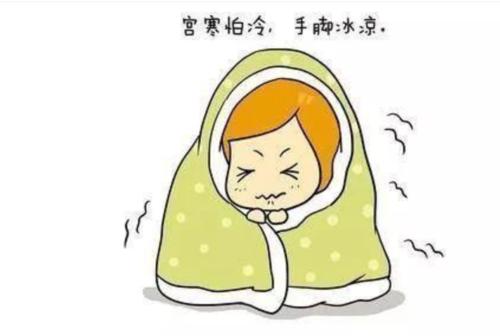 目前市面上效果最好的減肥藥——探索最佳瘦身伙伴，探索最佳瘦身伙伴，目前市面上效果最佳的減肥藥