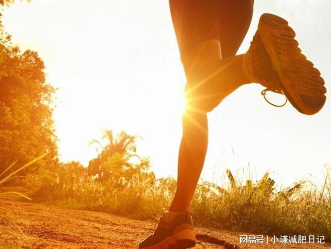 懶人福音！揭秘適合懶人的減肥秘訣，懶人福音，揭秘輕松減肥秘訣！