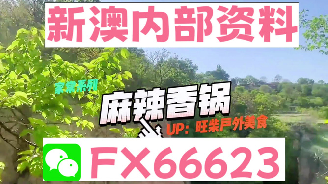 新澳精準(zhǔn)資料免費(fèi)提供，探索與實(shí)踐的指南，新澳精準(zhǔn)資料免費(fèi)分享，探索與實(shí)踐的導(dǎo)航指南