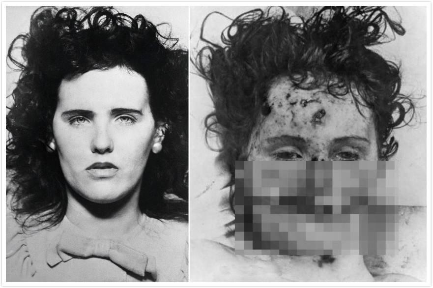 美國著名演員列表，璀璨星輝閃耀銀幕，美國璀璨星輝，著名演員閃耀銀幕的傳奇之旅