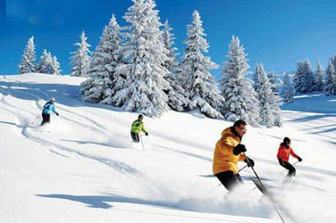 亞布力滑雪場簡介——領(lǐng)略滑雪勝地的魅力，亞布力滑雪場簡介，領(lǐng)略滑雪勝地的激情與魅力