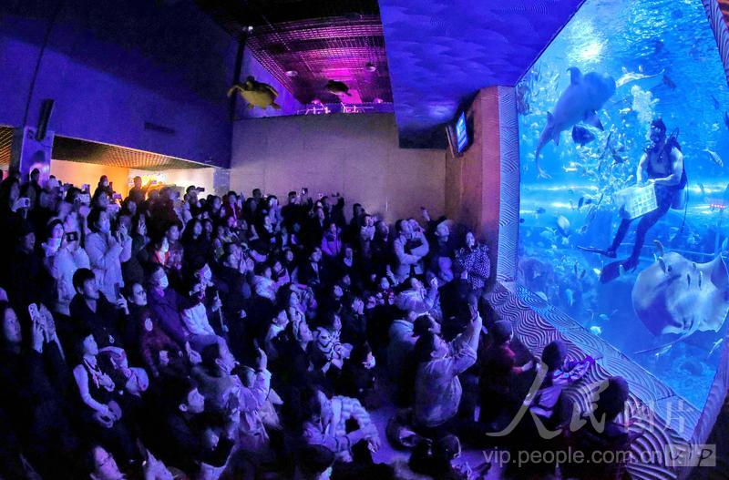 新澳2025今晚開(kāi)獎(jiǎng)結(jié)果揭曉，精彩不斷！，新澳2025今晚開(kāi)獎(jiǎng)結(jié)果揭曉，驚喜連連！