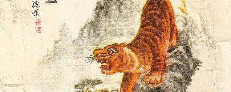 猛虎下山王中王，一生肖的獨特象征與奧秘，猛虎下山，生肖的獨特象征與奧秘