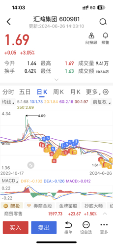 探索匯鴻集團(tuán)股吧的獨(dú)特魅力，深度解析600981股票的價值潛力，匯鴻集團(tuán)股吧深度探索，解析股票價值潛力與獨(dú)特魅力