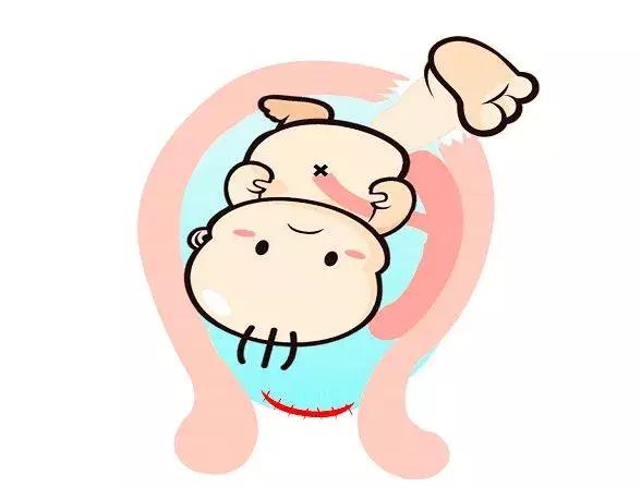 孕囊算不算一條生命，深度解析胚胎早期發(fā)育的奧秘，孕囊與胚胎早期發(fā)育，深度解析一條生命的誕生奧秘