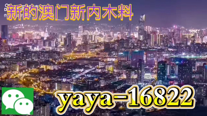 今晚澳門買什么最好？探索最佳選擇與策略，澳門今晚最佳選擇與策略探索指南