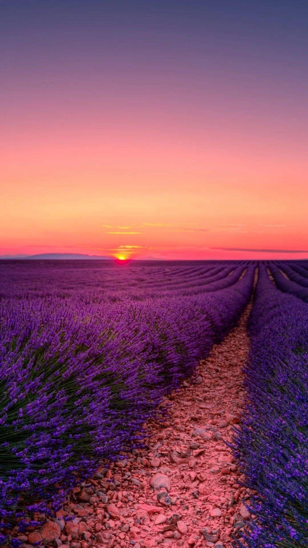 揭秘劉伯溫一肖六碼中特之謎，探尋背后的故事與真相，劉伯溫一肖六碼中特背后的故事與真相揭秘