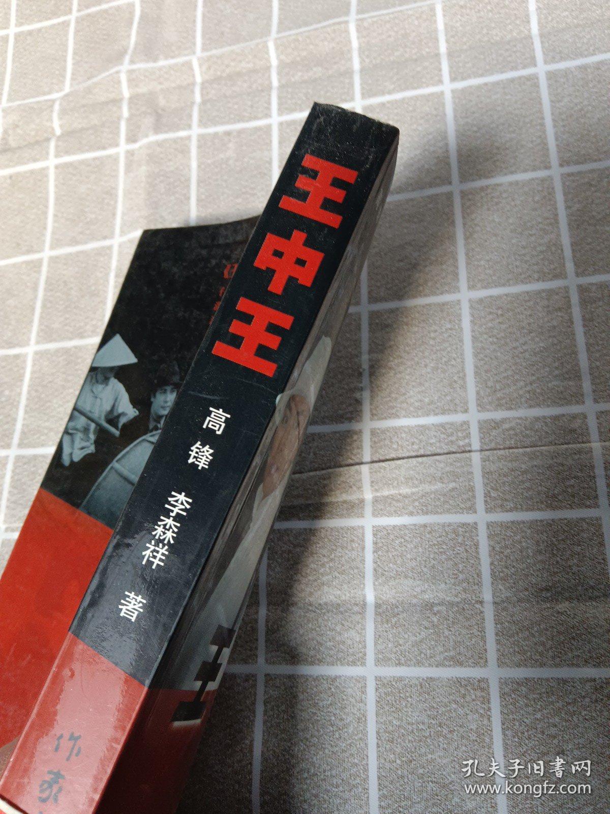 王中王資料一肖中官家，深度解析與探索，王中王資料揭秘，一肖中官家的深度解析與探索