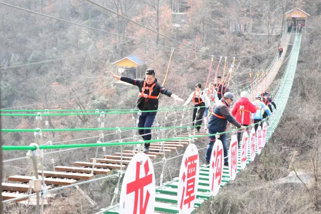 探索彩圖世界，118彩圖、乘乘圖庫與九龍彩圖的魅力，彩圖世界探索，118彩圖、乘乘圖庫與九龍彩圖的奇幻魅力
