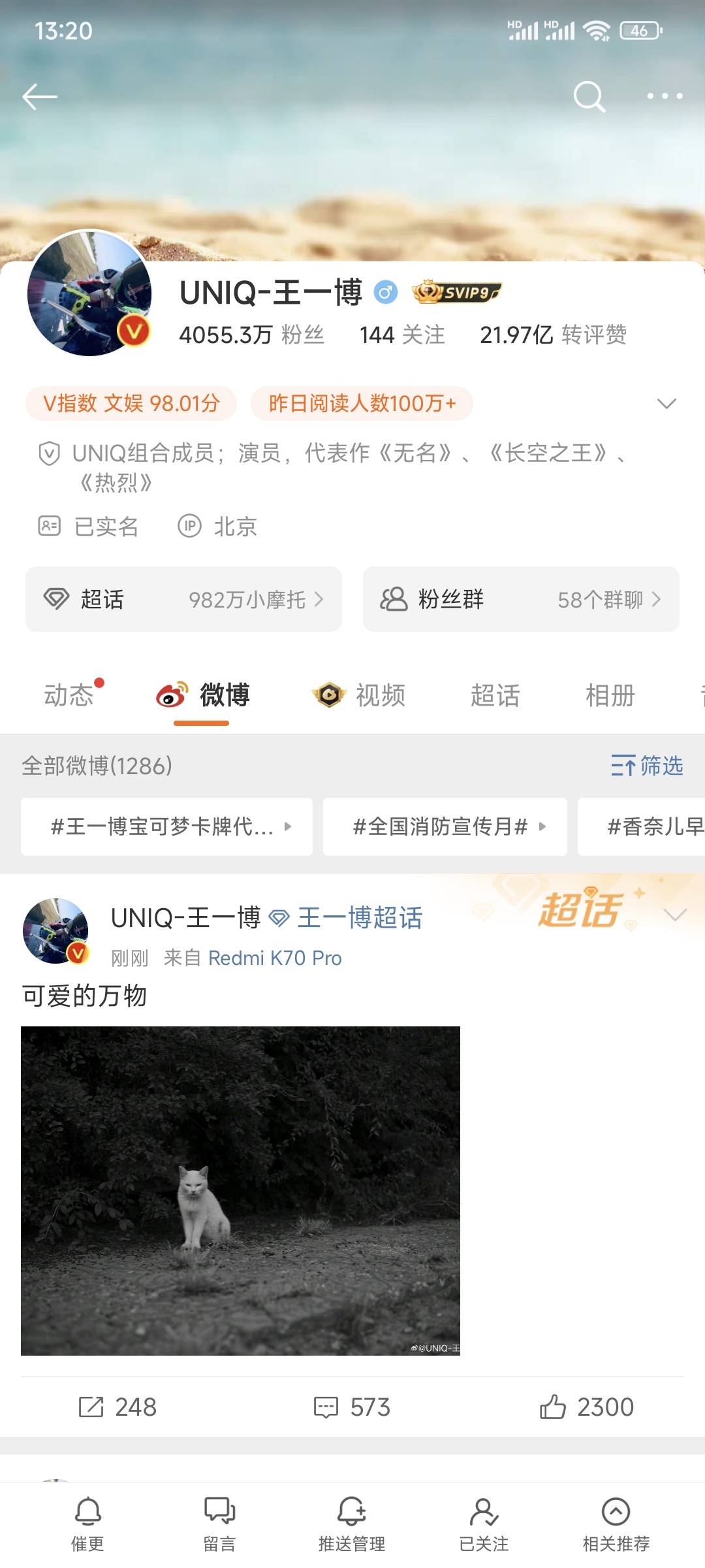 王中王一肖一，全年資料的深度解析，王中王一肖一全年資料深度解析