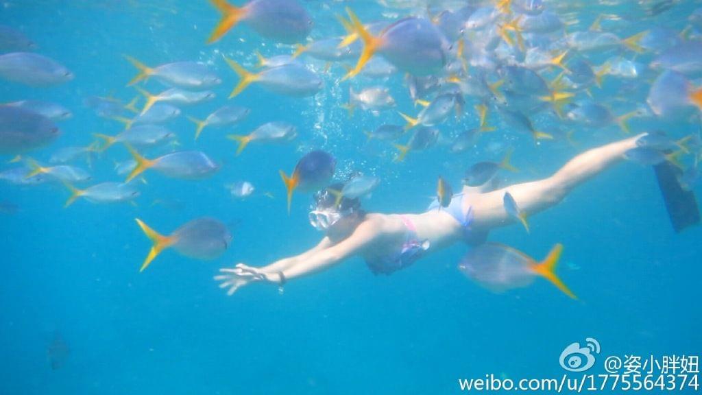 澳門美人魚最快開獎結果圖——揭秘熱門彩票游戲背后的秘密，澳門美人魚彩票開獎揭秘，最新結果圖與游戲背后秘密探索
