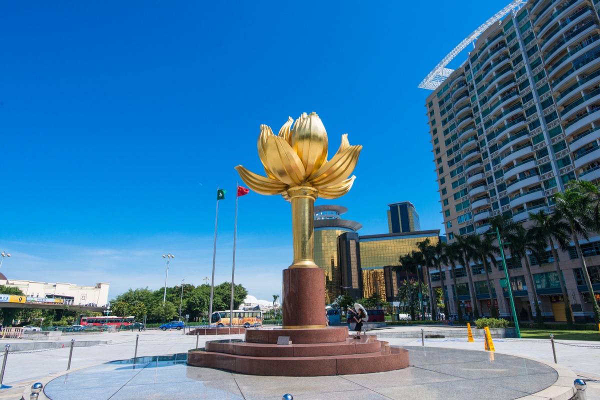 澳門一碼一肖一待一中四不像——揭開神秘面紗下的真相，澳門神秘事件揭秘，一碼一肖一待一中四不像真相探索