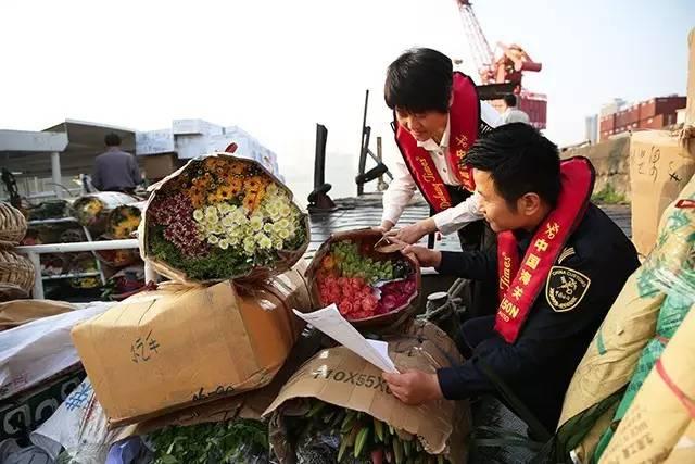 澳門六開獎(jiǎng)結(jié)果365期，揭秘彩票背后的秘密與策略分析，澳門六開獎(jiǎng)結(jié)果揭秘與策略分析，彩票背后的秘密與策略解讀第365期