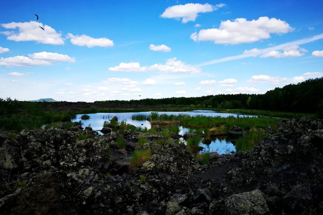 新聞咨詢 第44頁