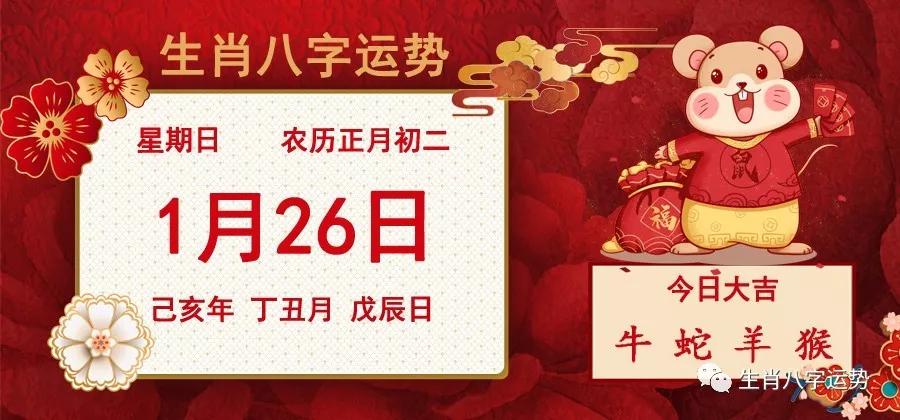 二肖二碼，深度解析與SEO優(yōu)化策略，二肖二碼深度解析與SEO優(yōu)化策略探討