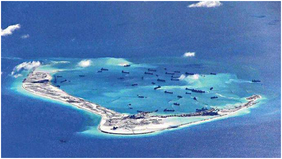 南海填島工程暫停原因深度解析，南海填島工程暫停原因深度探討