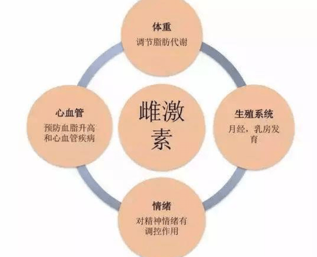 雌激素低的癥狀有哪些？一篇文章帶你了解，雌激素低的癥狀詳解，一篇文章帶你全面了解