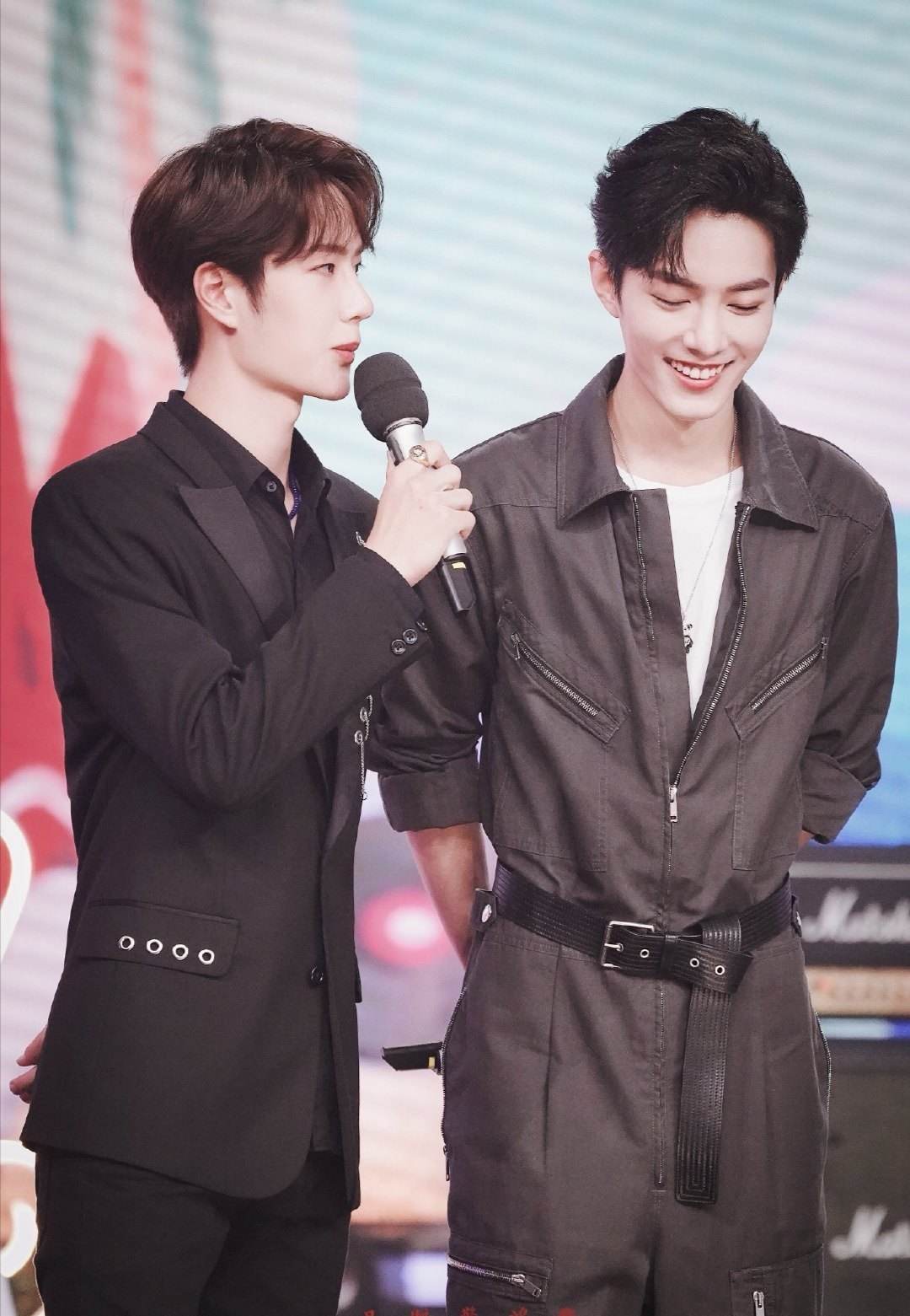 王中王一肖資料詳解，王中王一肖資料大全解析