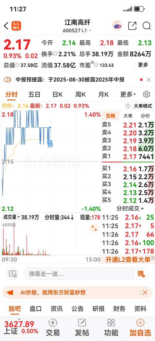 江南高纖股票，投資潛力與市場(chǎng)前景分析，江南高纖股票，投資潛力與市場(chǎng)前景深度解析