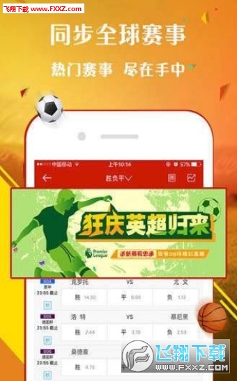 王中王2469com主博一肖，深度解析與SEO優(yōu)化策略，王中王2469com博主肖深度解析與SEO優(yōu)化策略探討