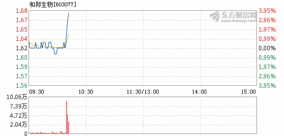關(guān)于和邦股份股票股吧的全面解析，和邦股份股票股吧深度解析