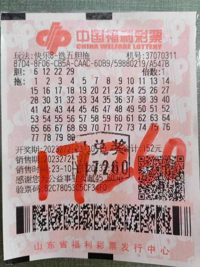 王中王平特一肖，兩大關(guān)鍵詞背后的故事與啟示，王中王平特一肖，關(guān)鍵詞背后的故事與啟示深度解析