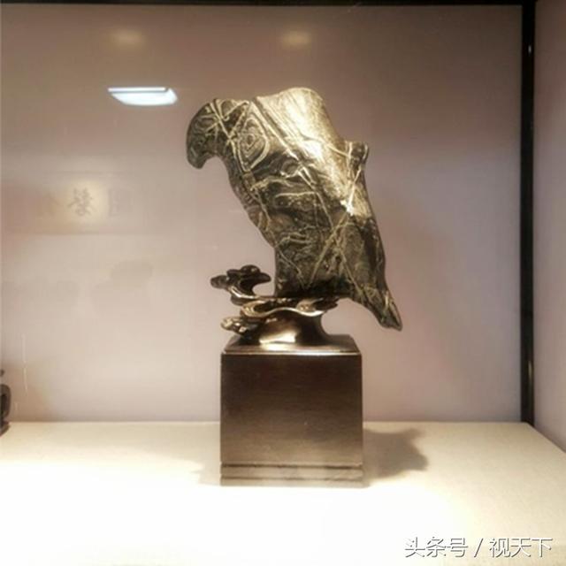 王中王一肖特圖，聚焦熱點，深度解讀背后的故事，王中王一肖特圖深度解析，熱點背后的故事揭秘