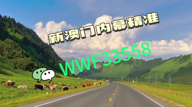 澳門王中王一肖一馬的神秘世界，探索與SEO優(yōu)化揭秘，澳門王中王一肖一馬，神秘世界探索與SEO優(yōu)化揭秘