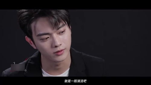 許凱一生中最愛(ài)的奧秘，探尋一個(gè)真實(shí)情感的旅程，許凱情感之旅，探尋一生所愛(ài)之謎